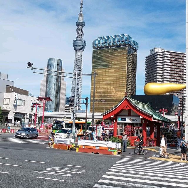 Tokyo Skytree the Tallest Tower 