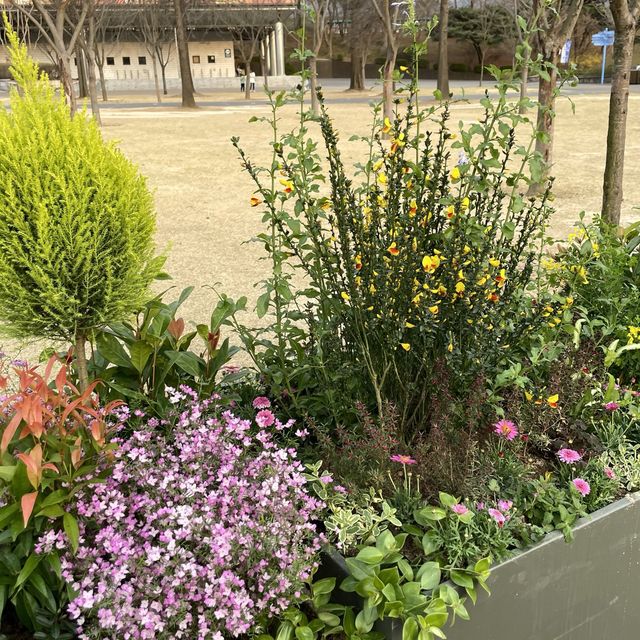 서울대공원에서 본격 꽃구경🌼