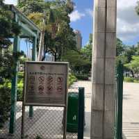 休閒好去處：宋皇臺公園