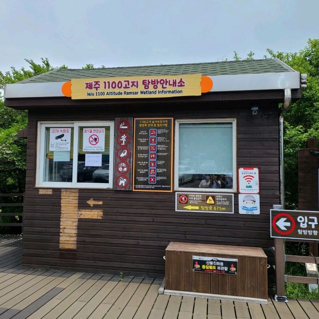 1100고지 습지탐방로