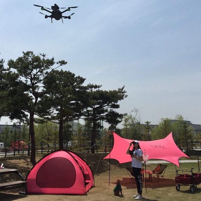 도심 속의 캠핑, ⛺️천안 신방공원에서 반려견과 즐기는 여름 소풍