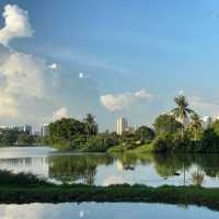 Attractive garden in 🇸🇬 Jurong Lake Gardens