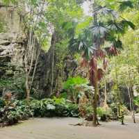 ธรรมชาติงามล้ำ ที่ถ้ำเขาประทุน