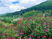 Kalaw, Shan State, Myanmar 
