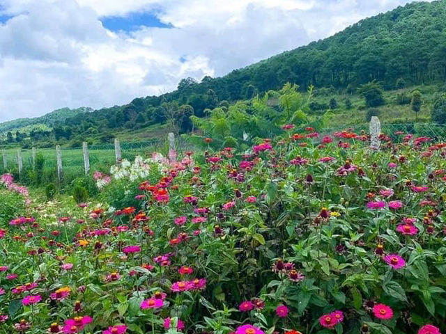 Kalaw, Shan State, Myanmar 