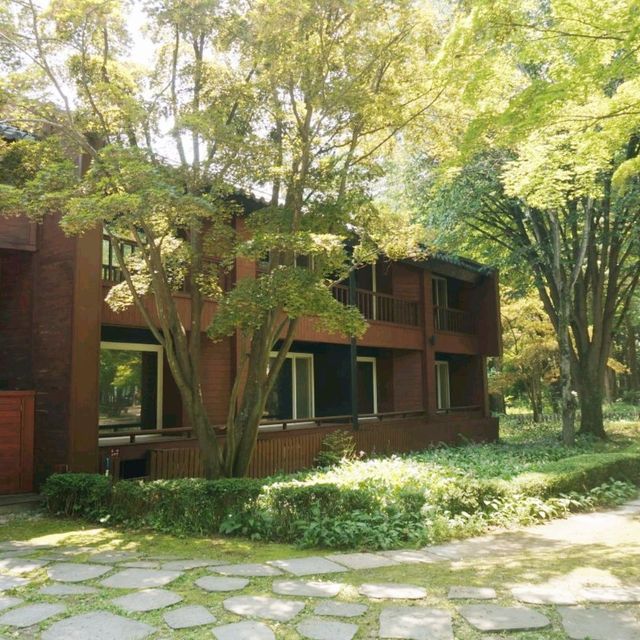 👍남이섬 정관루 호텔 커피숍 이용기