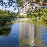 城市中一片靜土~屯門公園