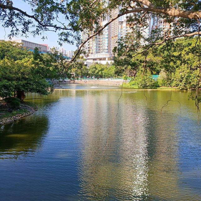 城市中一片靜土~屯門公園