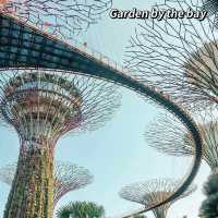 📍 รวมพิกัดเดินเล่นและจุดเช็คอินสิงคโปร์ 2022 ค่า❣