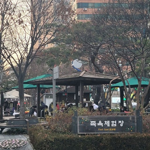 겨울여행 대전 인기 스팟 유성온천 족욕 체험장