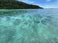 อุทยานแห่งชาติหมู่เกาะสุรินทร์ ปะการังยืนหนึ่ง 