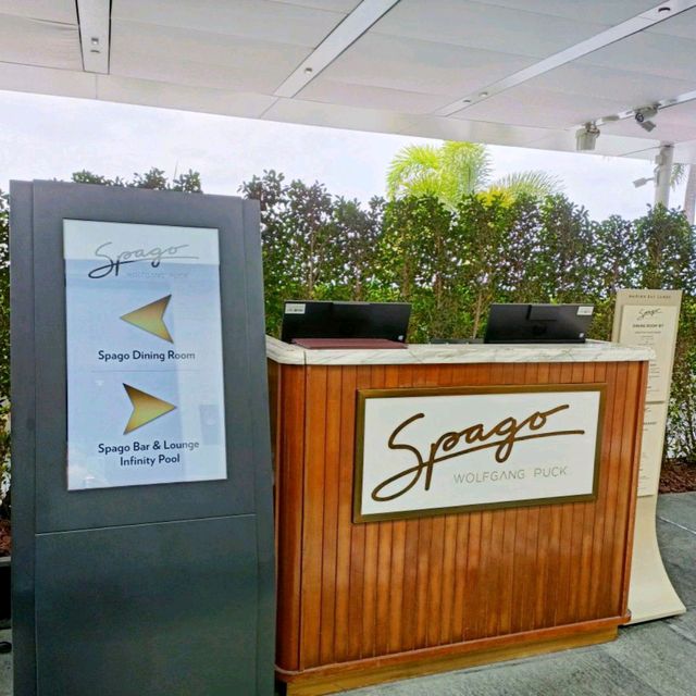 Stunning Skyline views at Spago!