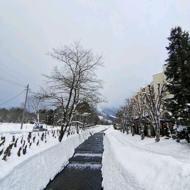 Snowy Christmas in Hakuba