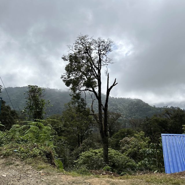 Elixir hills resort, Munnar