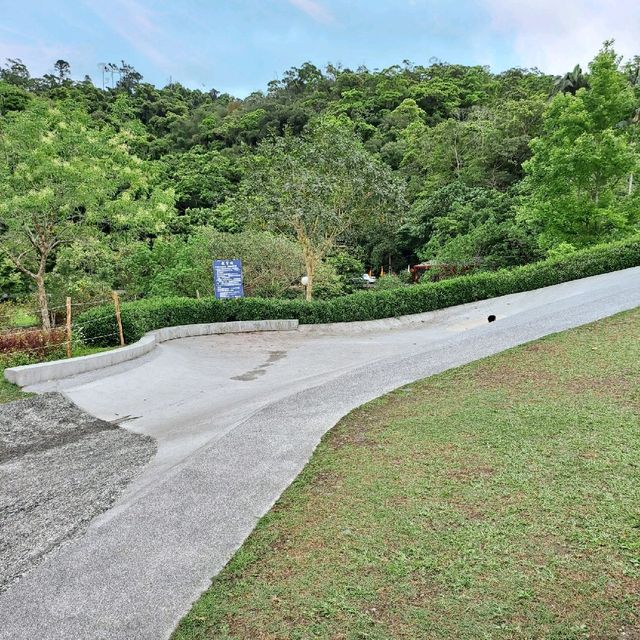 宜蘭 | 「龍潭湖特定風景區」，園區內有超多白鷺鷥棲息，還有悠遊在湖畔的鴨子群