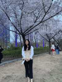 서울 안의 숲속, 서울숲🌷🌸