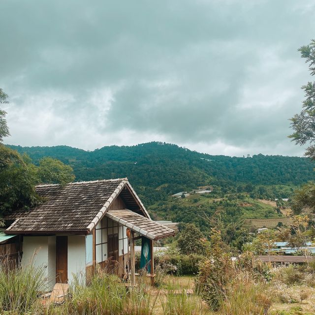 mori natural farm 🏔