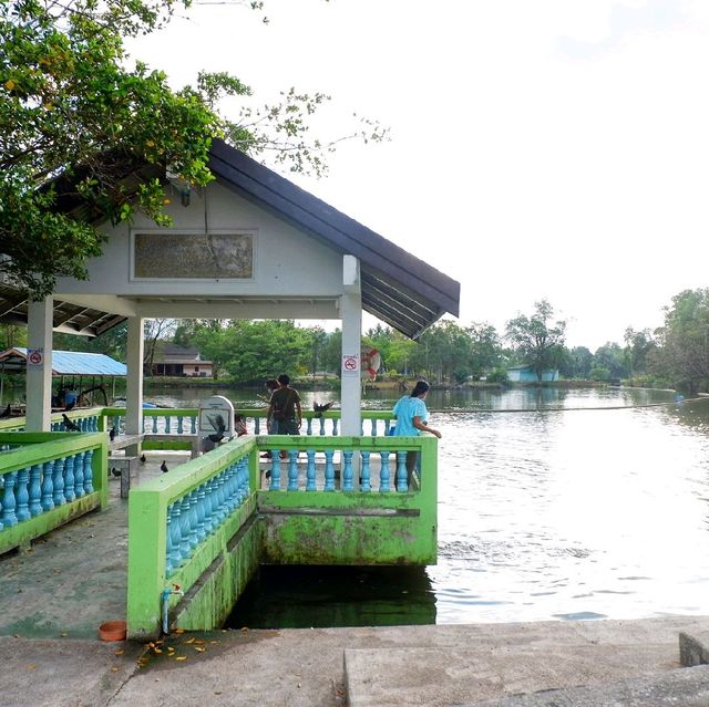 เดินขึ้นเขาไปชมวิวหลักล้าน