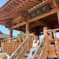 산청한방테마파크 동의보감촌에서 출렁다리 체험하기!