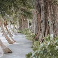 โรงแรมริมหาดส่วนตัว ราคาไม่แพง ภูเก็ต