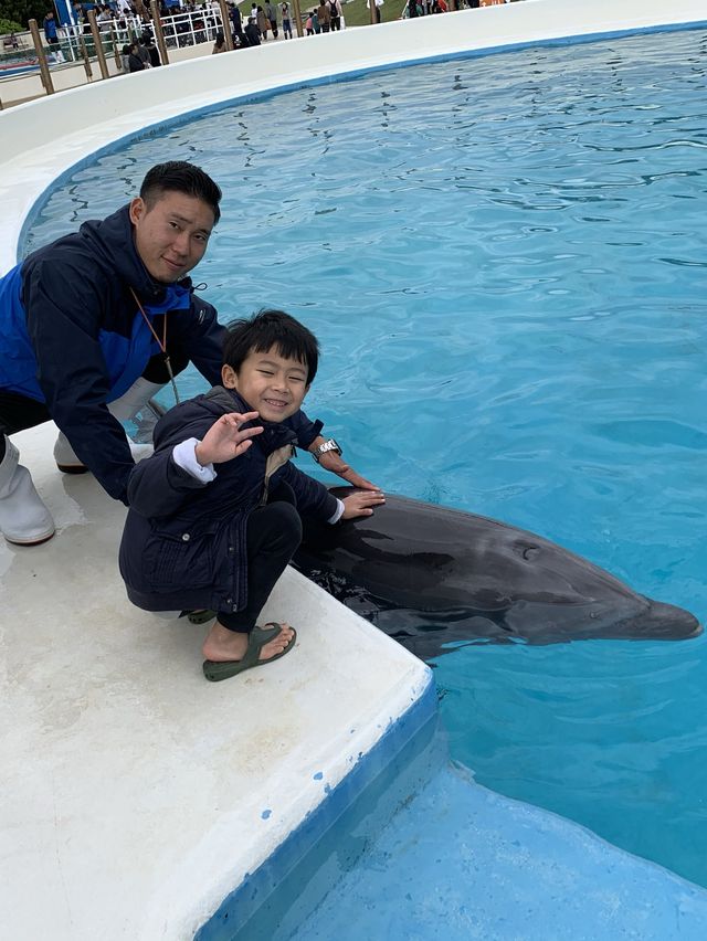海豚餵食體驗學習 | 沖繩旅行