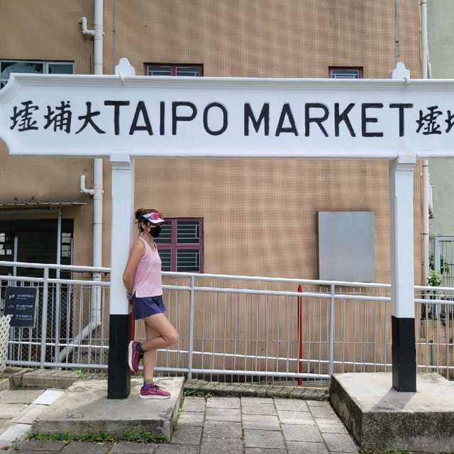 回到未來之旅