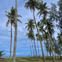 Beach and Coconut make the perfect combo
