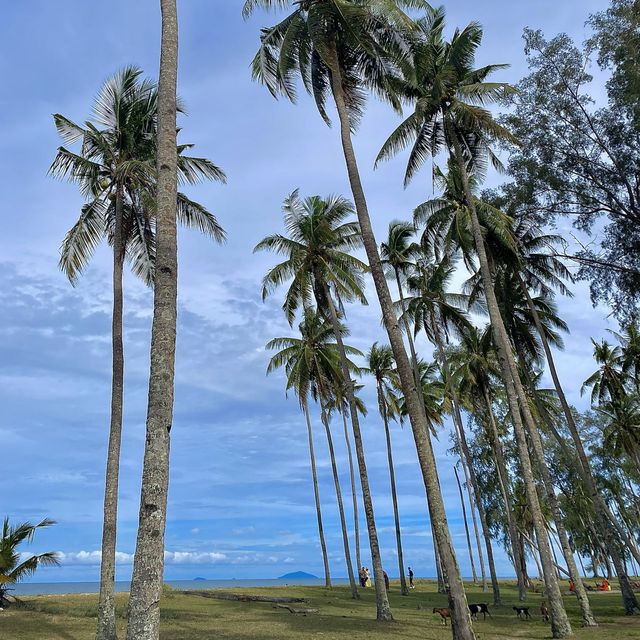 Beach and Coconut make the perfect combo