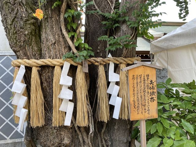 博多祇園山笠の準備がすすむ櫛田神社
