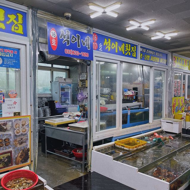 석이네 🐟 고성 봉포항 회센터 맛집