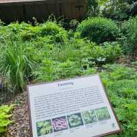 Ethnobotany Gardens Singapore 