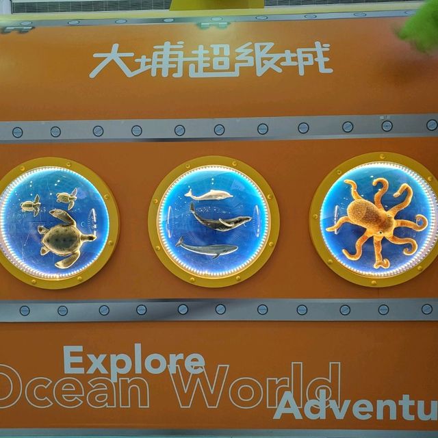大埔超級城 - 海洋世界🐳🐋🐬