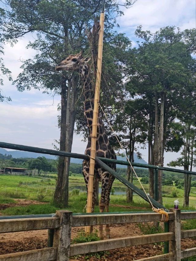 เที่ยวกันมั้ย
