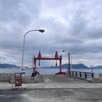 【広島】大久野島にはうさぎがいっぱい🐇🐇
