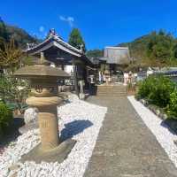德島走進第四番札所 大日寺