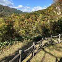 【宮城】色づきはじめた紅葉が美しいスポット