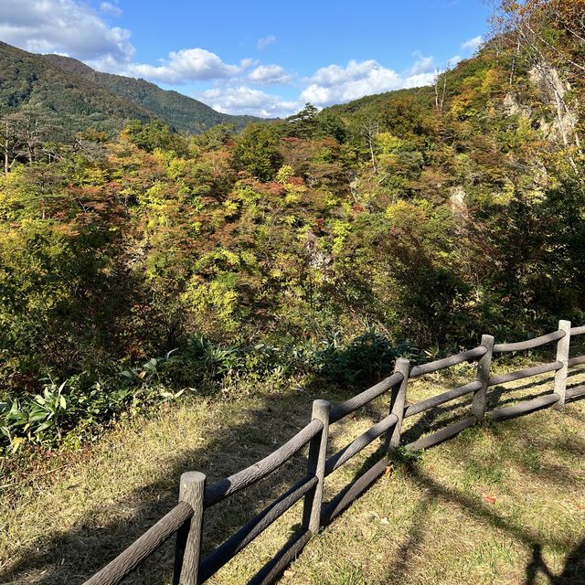 【宮城】色づきはじめた紅葉が美しいスポット
