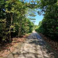 Peaceful morning walk 