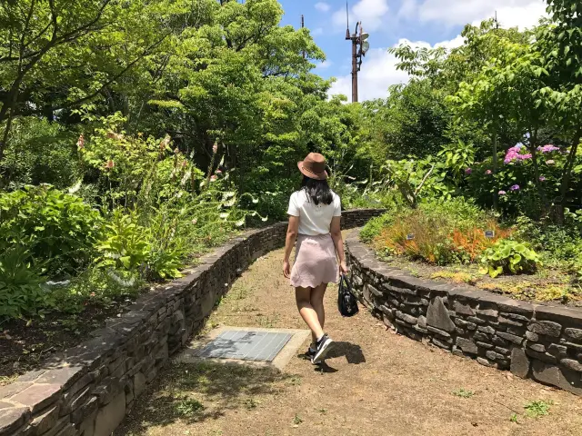 日本海之中道海濱公園花花世界