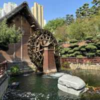    香港好去處 - 志蓮淨院