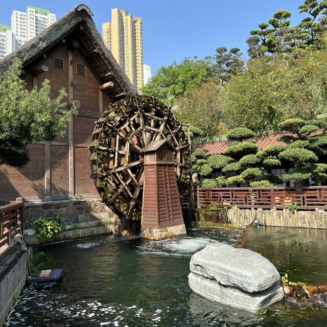 香港好去處 - 志蓮淨院    香港好去處 - 志蓮淨院