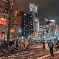 Tokyo in 5days