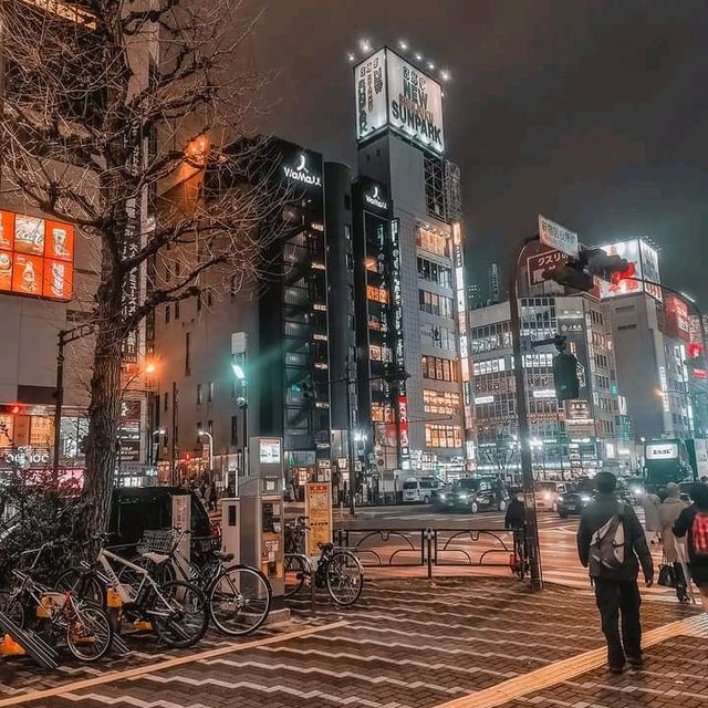 Tokyo in 5days