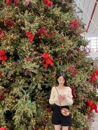 여긴 벌써 크리스마스🎄
