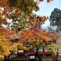 【奈良】歴史ある神社に美しい紅葉