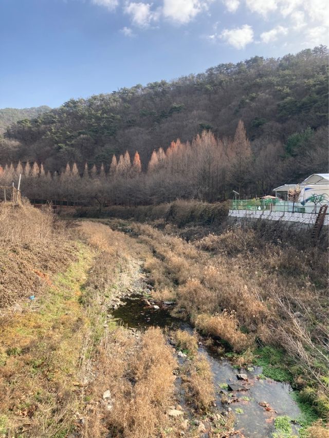 대전 단풍여행 명소