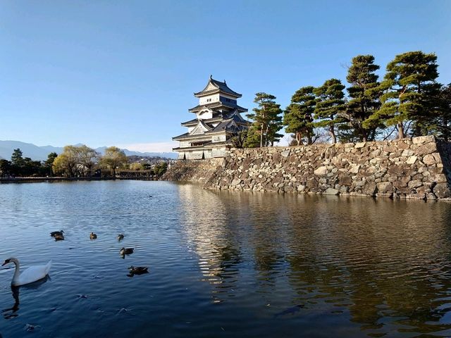 松本市必遊的日本國寶級建築 松本城