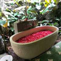 Spa in middle of Nature 