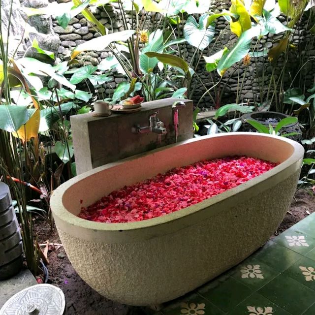 Spa in middle of Nature 