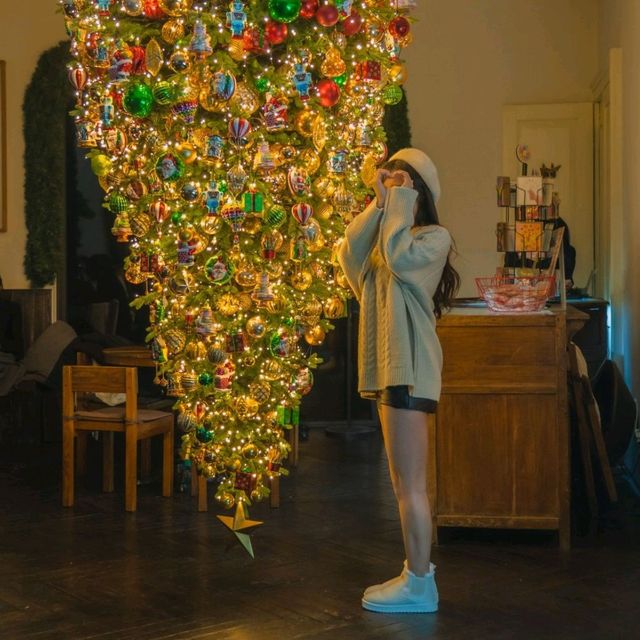 🎄이색적인 거꾸로 트리가 예쁜 연말에가기좋은 카페 [제주, 마마롱]
